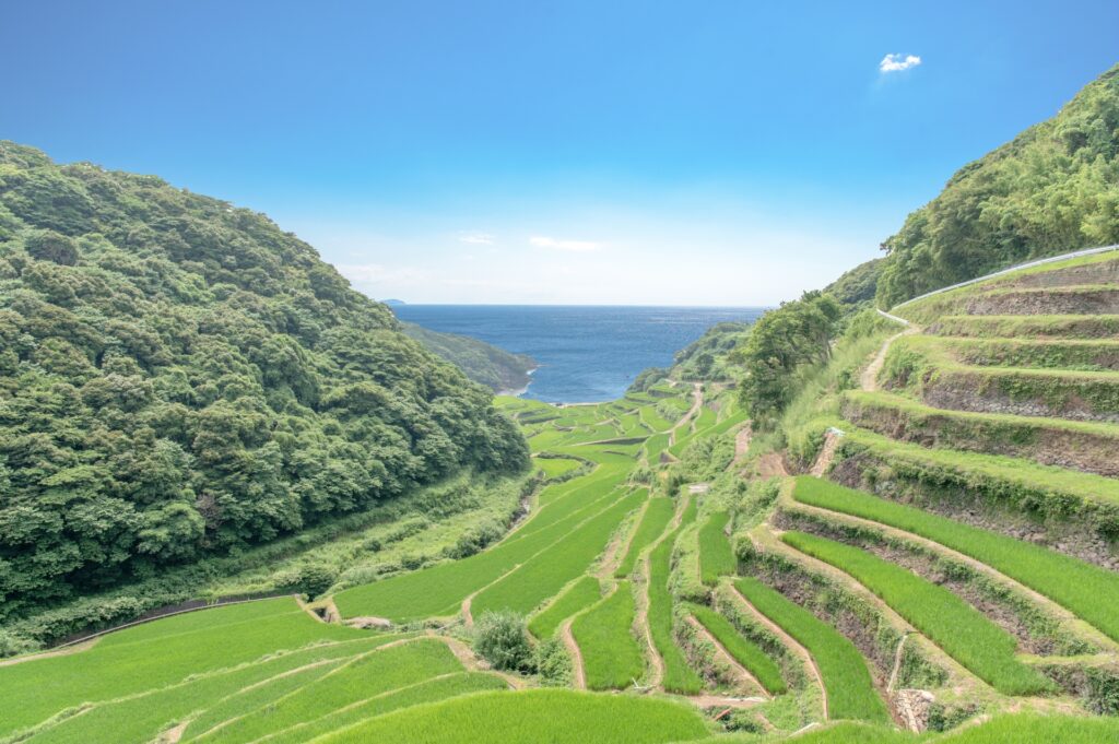 農地